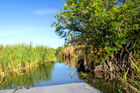 Airboat through the Everglades.