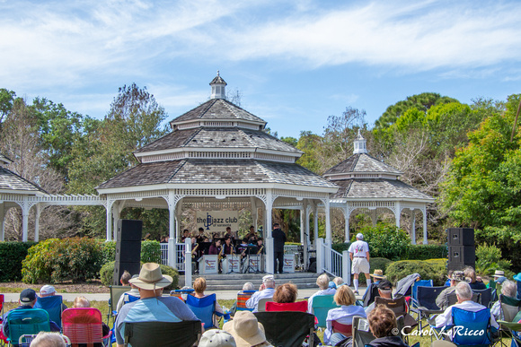 Fans enjoying a beautiful day listening to jazz